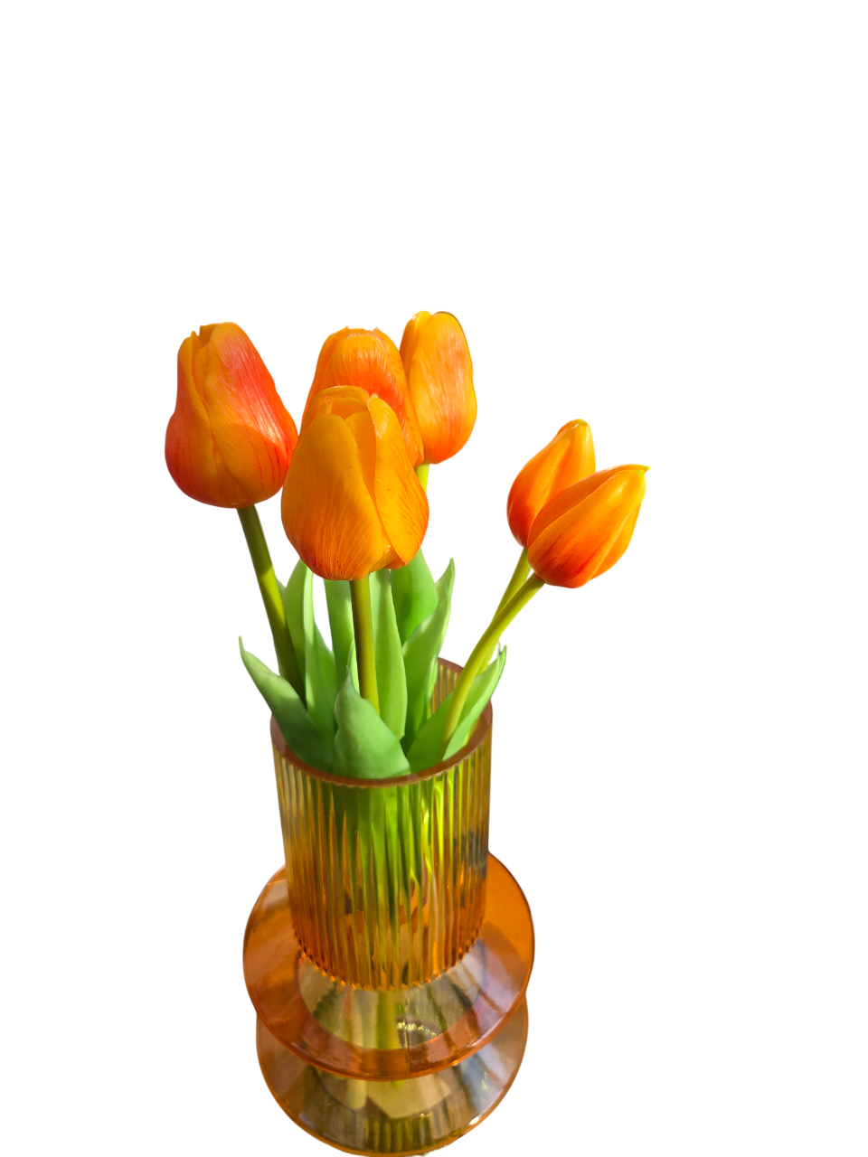 Tulpen dicht