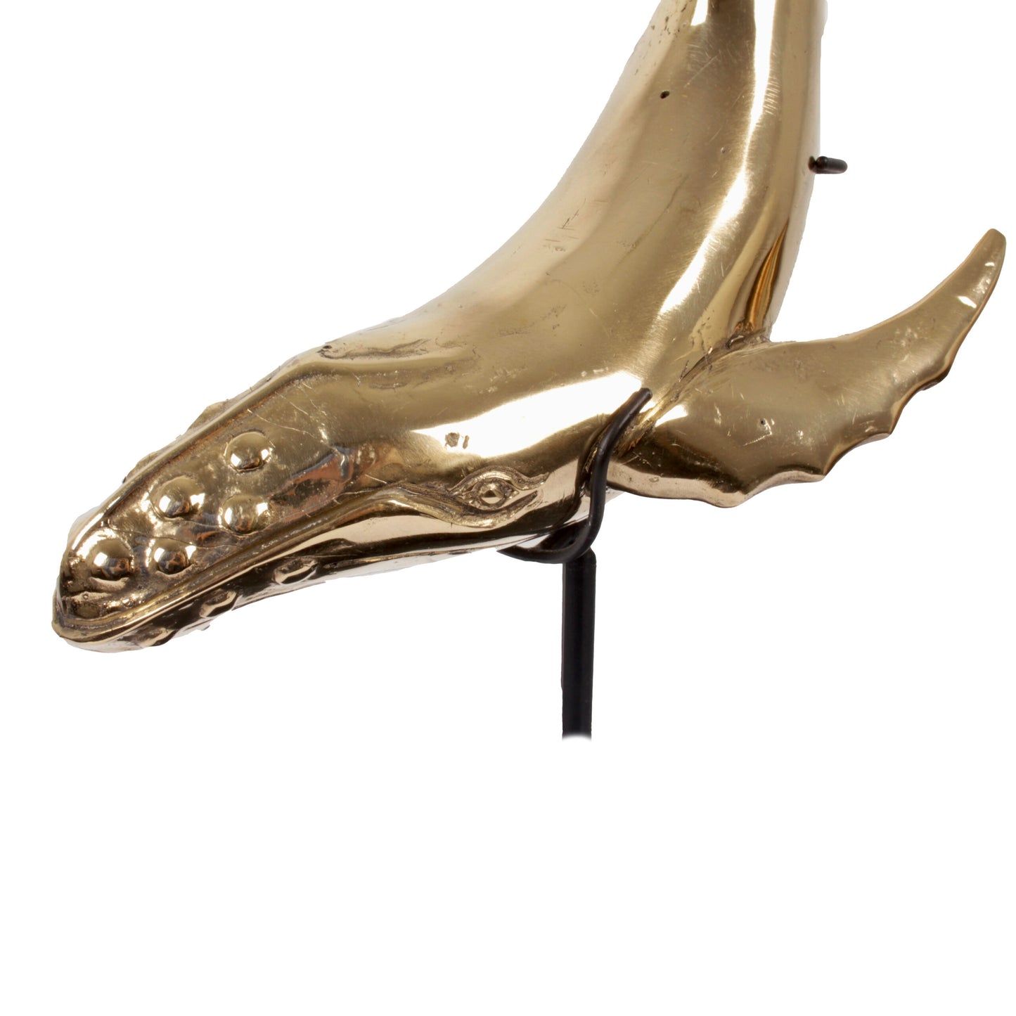 Beeld Walvis goud