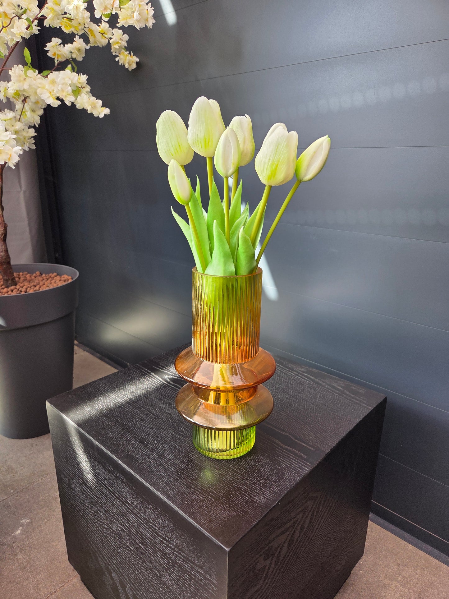 Tulips closed