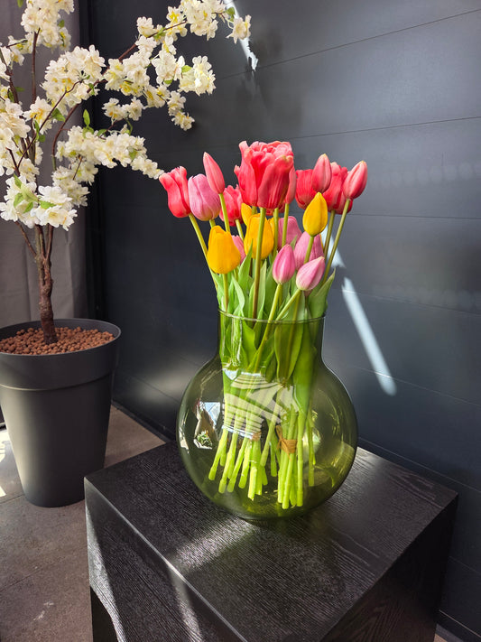 Tulips open