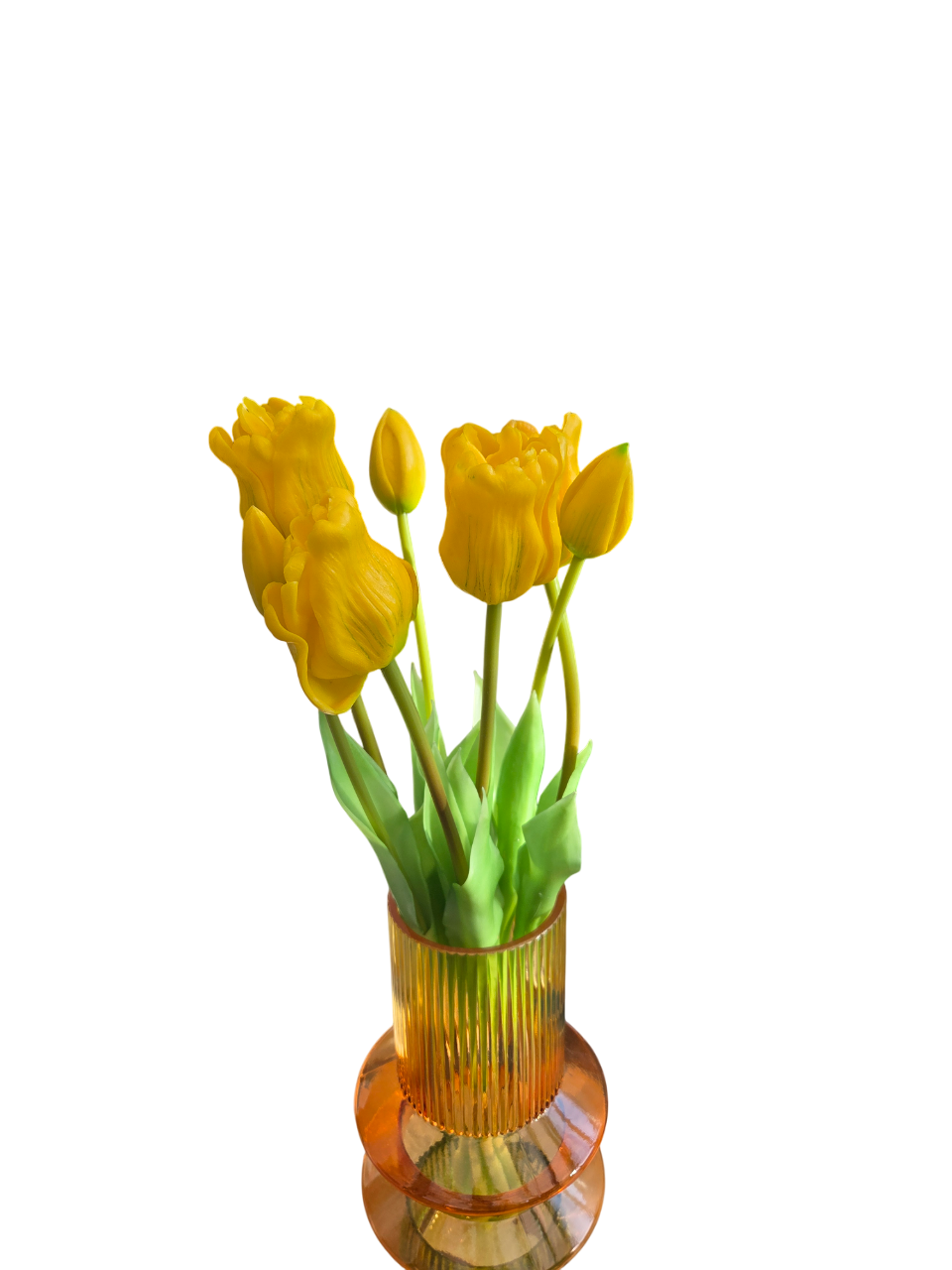 Tulips open