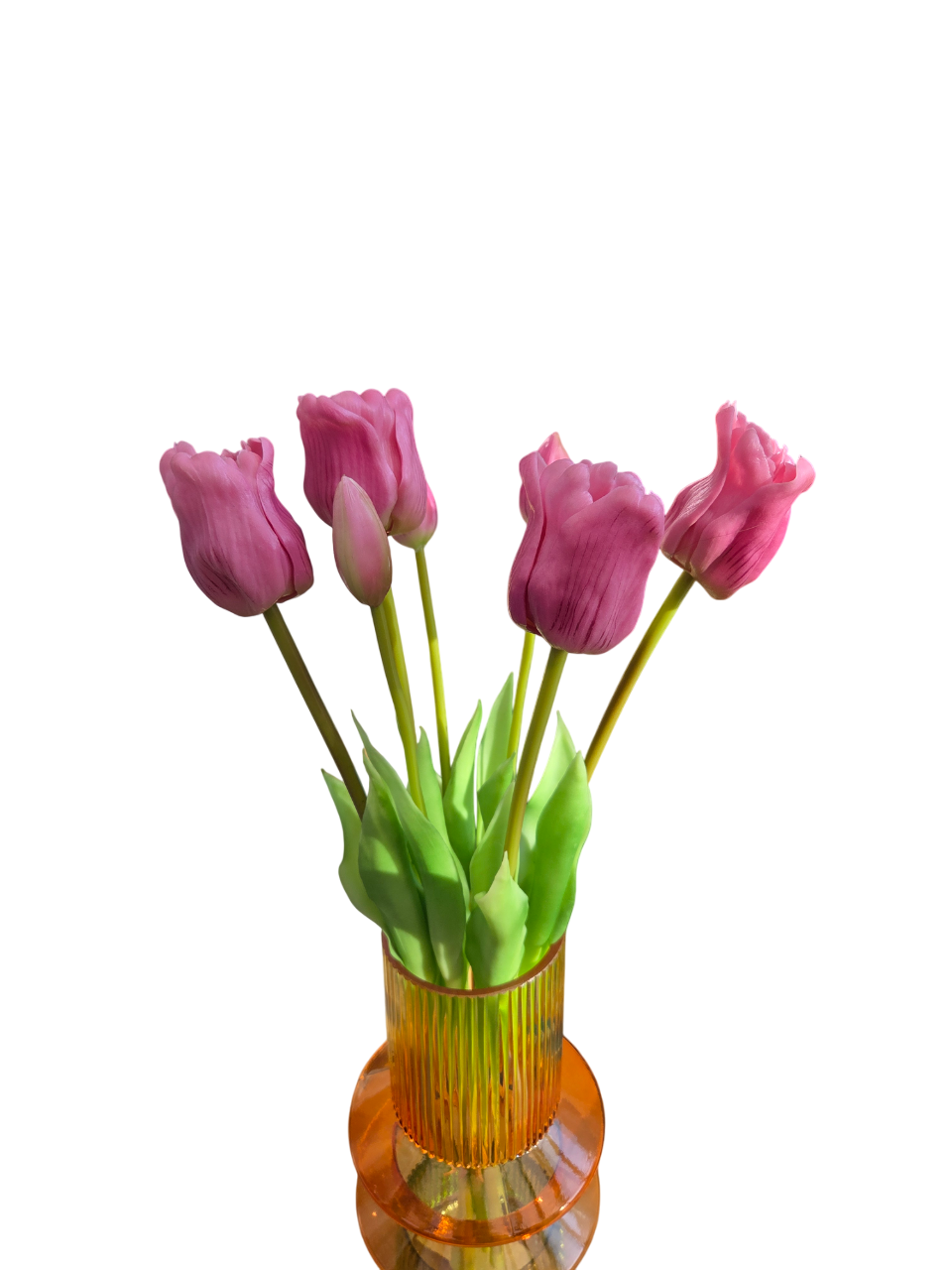 Tulips open