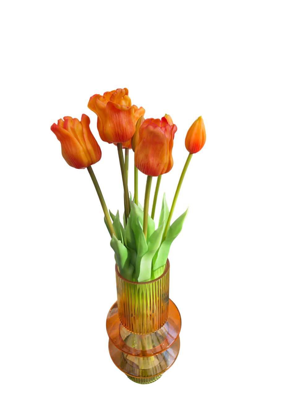 Tulips open