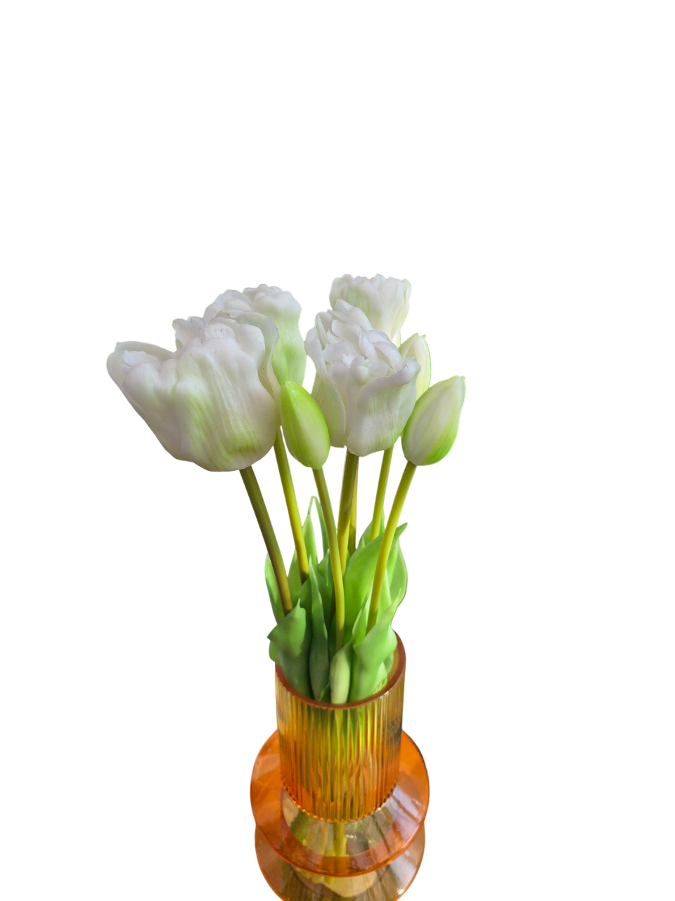 Tulips open